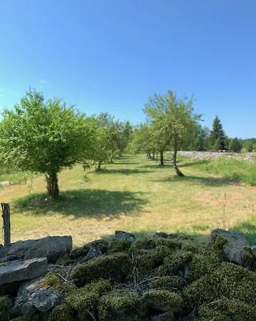 Pilguse Residency 5* Jogela