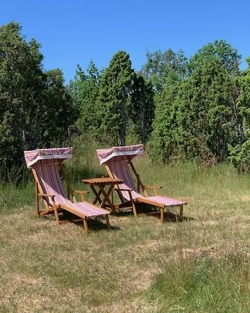 Pilguse Residency 5* Jogela