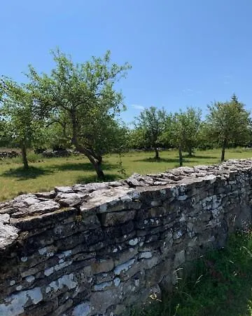 Отель Pilguse Residency 5*