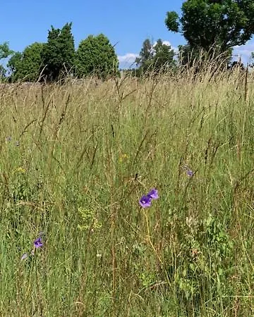 Hotel Pilguse Residency 5*