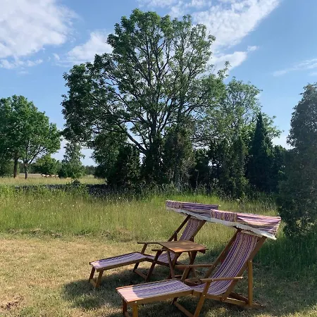 Pilguse Residency 5* Jogela