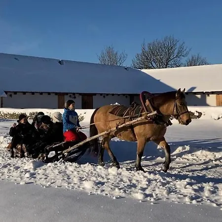 Hotel Pilguse Residency