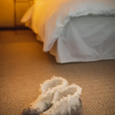 Pilguse Residency Jogela