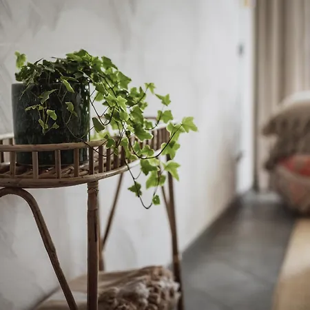 Hotel Pilguse Residency 5*