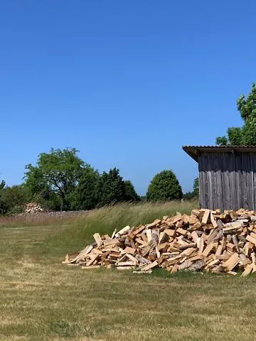 Pilguse Residency Jogela