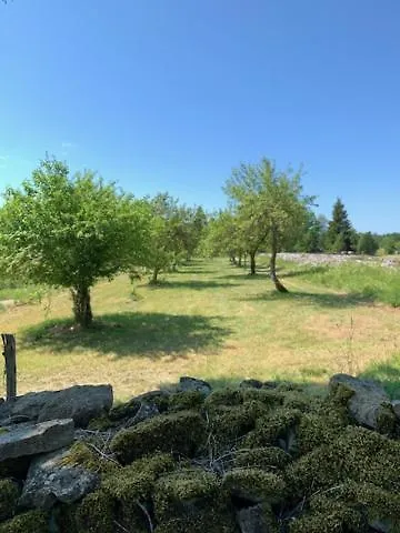 Pilguse Residency 5* Jogela