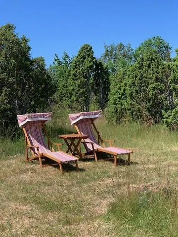 Pilguse Residency 5* Jogela