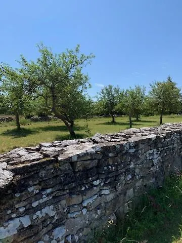 Hotel Pilguse Residency 5*