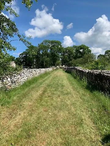 Pilguse Residency 5* Jogela