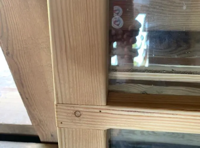 Hotel Pilguse Residency