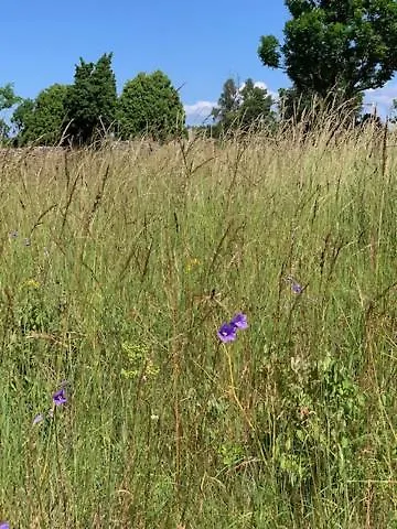 Hotel Pilguse Residency 5*