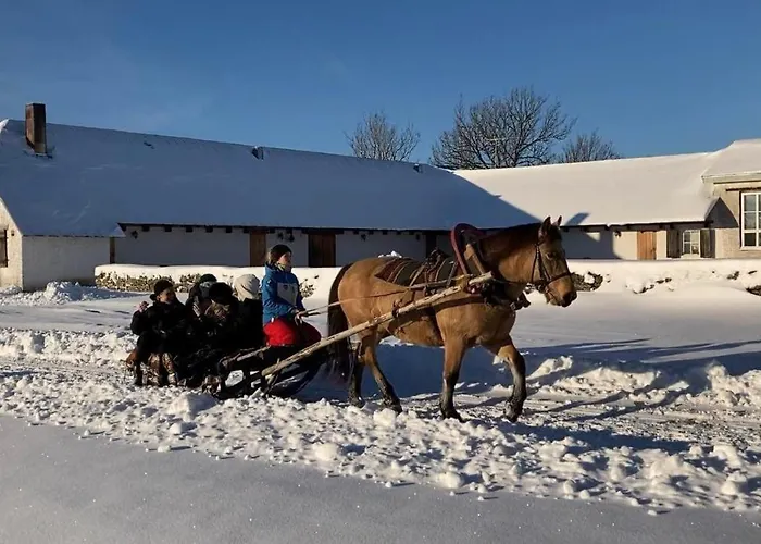 Hotel Pilguse Residency