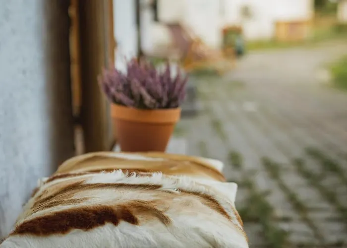 Pilguse Residency Hotel